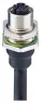 934926006 Lumberg Automation Sensor-Actuator Connectors
