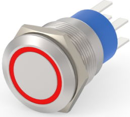 Switch, 2 pole, silver, illuminated  (red), 5 A/250 VAC, mounting Ø 19.2 mm, IP67, 4-2213767-7