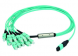 FO cable, MT/MPO to LC, 5 m, OM3, multimode 50/125 µm
