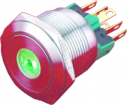 Pushbutton switch, 1 pole, silver, illuminated  (white), 5 A/250 V, mounting Ø 22 mm, IP65, PAV22SLPFS1B6N