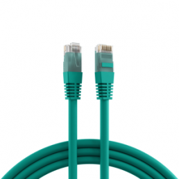 Patch cable, RJ45 plug, straight to RJ45 plug, straight, Cat 5e, U/UTP, PVC, 2 m, green