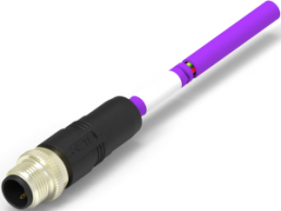 Sensor actuator cable, M12-cable plug, straight to open end, 2 pole, 2 m, PUR, purple, 4 A, TAB62146501-020