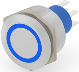 Switch, 2 pole, silver, illuminated  (blue), 3 A/250 VAC, mounting Ø 25.2 mm, IP67, 3-2317656-9