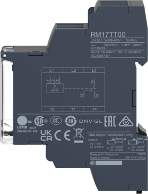 RM17TT00 Schneider Electric Monitoring Relays Image 4