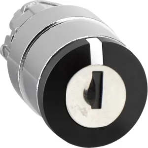 ZB4BG2F015 Schneider Electric Actuators, Signal Elements and Front Elements