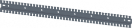 SIVACON, mounting rail, serrated, U- shape L: 800mm, zinc-plated