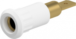 4 mm socket, plug-in connection, mounting Ø 8.2 mm, white, 64.3010-29