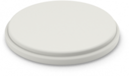 Aperture, round, Ø 17.8 mm, (H) 2.3 mm, white, for pushbutton switch, 5.00.888.504/0200
