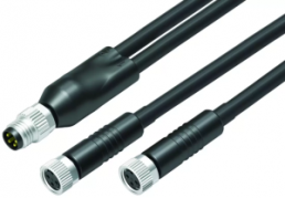 Sensor actuator cable, M8-cable plug, straight to 2 x M8 cable socket, straight, 4 pole/2 x 3 pole, 1 m, PUR, black, 2 A, 77 9805 3406 50003-0100