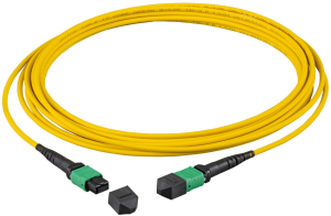FO patch cable, 2 x MTP-F to 2 x MTP-F, 10 m, OS2, singlemode 9/125 µm
