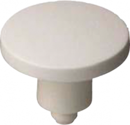 Plunger, round, Ø 8 mm, (L x H) 2.9 x 8 mm, white, for short-stroke pushbutton, 5.46.167.301/0209