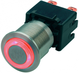 Pushbutton switch, 2 pole, silver, illuminated  (red), 12 A/250 V, mounting Ø 22.1 mm, IP65, 1241.6834.1121000