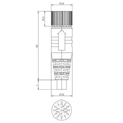 19656 Lumberg Automation Sensor-Actuator Cables Image 2
