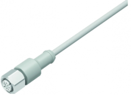 Sensor actuator cable, M12-cable socket, straight to open end, 12 pole, 2 m, TPE, gray, 1.5 A, 77 3730 0000 40912-0200