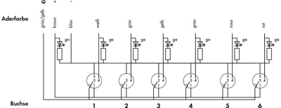757-264/000-005 WAGO Sensor-Actuator Distribution Boxes Image 3