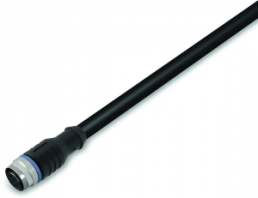 Sensor actuator cable, M12-cable socket, straight to open end, 5 pole, 10 m, PUR, black, 4 A, 756-5301/050-100