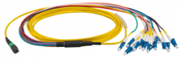 FO patch cable, LC/APC to MTP-F, 1 m, OS2