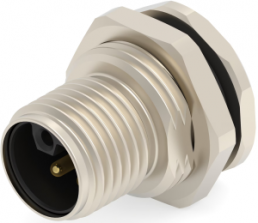 Circular connector, 5 pole, solder connection, straight, T4140L12051-000