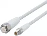 EVF216 IFM electronic Sensor-Actuator Cables