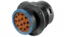 HDP24-18-14PE DEUTSCH Automotive Power Connectors
