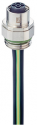 Socket, M12, 4 pole, Coupling nut, straight, 934980507