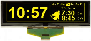 EA W256064-XGLG DISPLAY VISIONS OLED Displays
