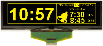 EA W256064-XGLG DISPLAY VISIONS OLED Displays Image 1