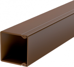 Cable duct, (L x W x H) 2000 x 40 x 40 mm, PVC, sepia brown, 6025420