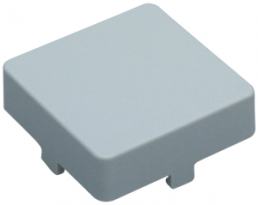 Aperture, square, (L x W x H) 14 x 14 x 5.5 mm, light gray, for short-stroke pushbutton, 5.46.681.001/0700