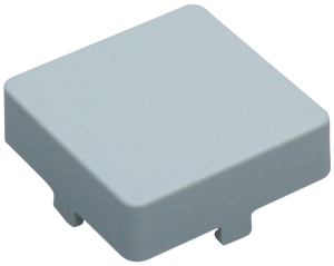 Aperture, square, (L x W x H) 14 x 14 x 5.5 mm, light gray, for short-stroke pushbutton, 5.46.681.001/0700