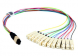 Patch cable set, MT/MPO to LC, 0.5 m, OS2, singlemode 9/125 µm