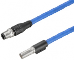 Sensor actuator cable, M12-cable plug, straight to M12-cable plug, straight, 8 pole, 5 m, Radox EM 104, blue, 0.5 A, 2451130500