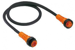 Sensor actuator cable, 7/8"-cable plug, straight to 7/8"-cable socket, straight, 5 pole, 0.3 m, black, 81047