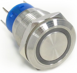 Pushbutton, 1 pole, silver, illuminated  (blue), 5 A/250 V, mounting Ø 19.2 mm, IP67, 1-2213764-7