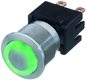 Pushbutton switch, 1 pole, silver, illuminated  (green), 16 A/250 V, mounting Ø 22.1 mm, IP65, 3-101-014