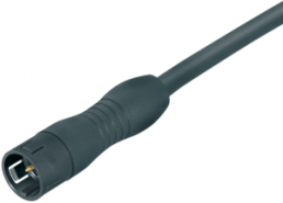 Sensor actuator cable, Cable plug, straight to open end, 3 pole, 2 m, PUR, black, 7 A, 79 9149 120 03