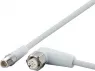 EVF266 IFM electronic Sensor-Actuator Cables