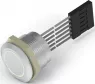 2342834-1 Alcoswitch Pushbutton Switches