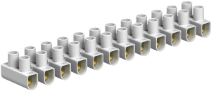 Lustre terminal, 12 pole, 2.5-10 mm², clamping points: 12, white, screw connection, 57 A