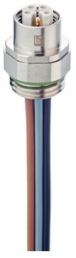 Socket, M12, 5 pole, Coupling nut, straight, 934980502