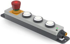 1.24.403.001/0000 RAFI Control Devices in Housings