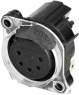NC5FAH-LR-DAE Neutrik XLR Connectors