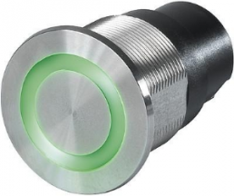 Pushbutton switch, 1 pole, silver, illuminated  (red/green), 0.1 A/60 V, mounting Ø 16.1 mm, IP67, 3-101-401