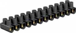 Lustre terminal, 12 pole, 4.0 mm², clamping points: 12, black, screw connection, 32 A