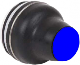 Pushbutton, groping, waistband round, blue, front ring black, mounting Ø 22 mm, XACB9216