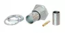 NBNB75ILP9 Neutrik Coaxial Connectors