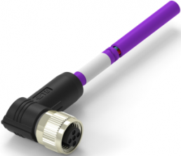 Sensor actuator cable, M12-cable socket, angled to open end, 2 pole, 2 m, PUR, purple, 4 A, TAB62446501-020