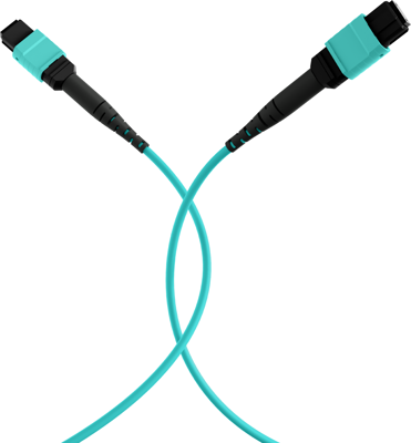 MTPF12MTPFOM3-3-A EFB-Elektronik Fiber Optic Patch Cables, Pigtails Image 4