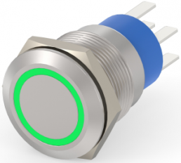 Switch, 2 pole, silver, illuminated  (green), 5 A/250 VAC, mounting Ø 19.2 mm, IP67, 5-2213764-3