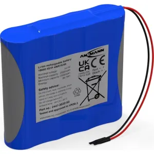 2447-3032-50 Ansmann Rechargeable Battery Packs